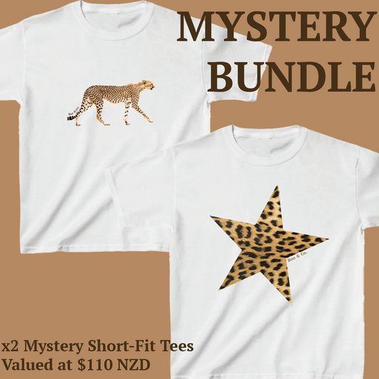 Mystery Bundle - x2 Short-Fit Tees